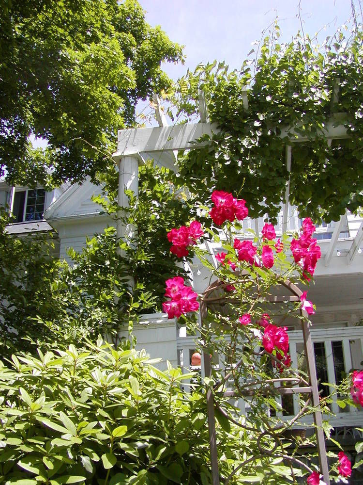Arabian Horse Inn Sudbury Dış mekan fotoğraf